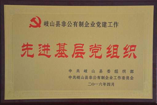 通運集團黨總支榮獲“先進(jìn)基層黨組織”榮譽(yù)稱(chēng)號